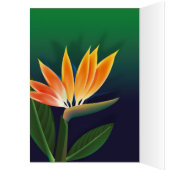 Bird of paradise flower cards (Inside (Left))