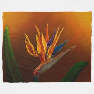 Bird of Paradise flower