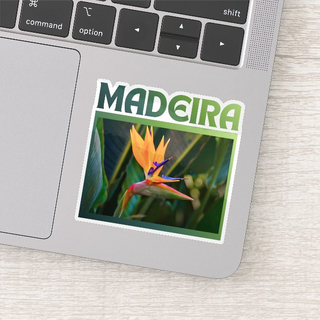 Bird of Paradise flower, Madeira Portugal travel Sticker (Detail)