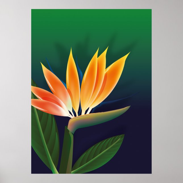 Bird of paradise flower poster (Front)