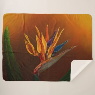 Bird of Paradise flower