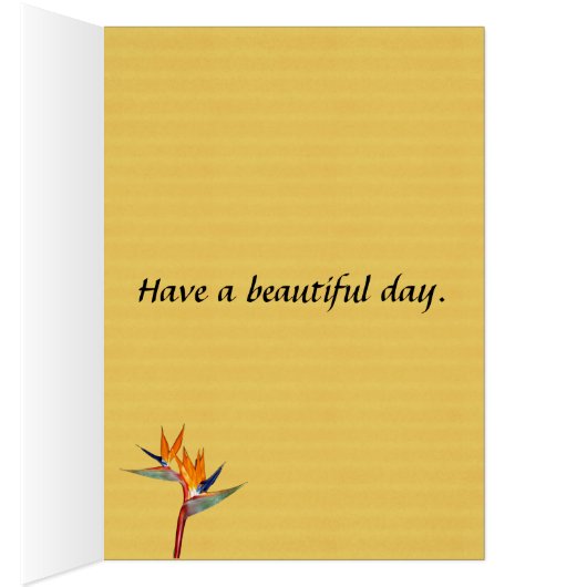 Bird of Paradise flower Strelitzia (Inside (Right))