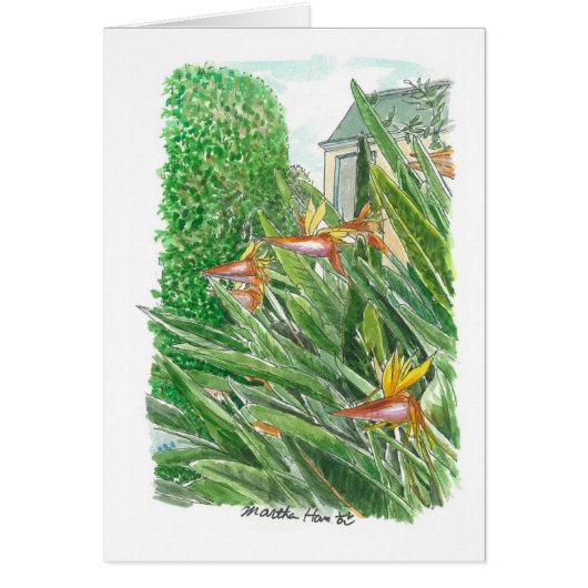 Bird of Paradise Flowers Cards (Front)