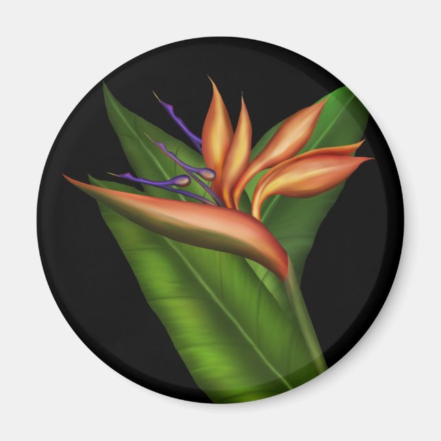 Bird Of Paradise Full Magnet (Front)