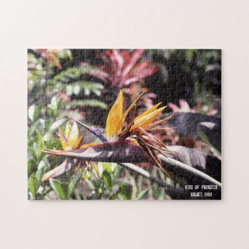 Bird of Paradise Hawaii Jigsaw Puzzle