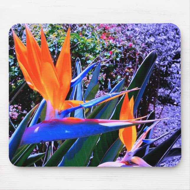 Bird of Paradise Hawaii Mouse Pad (Front)
