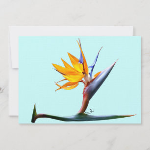 Bird of Paradise Invitation