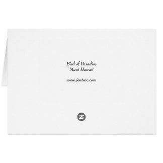 Bird of Paradise - Maui Hawaii Cards