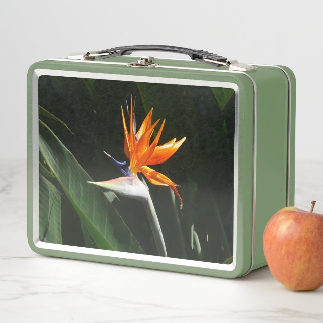 Bird of Paradise Metal Lunch Box (In Situ)