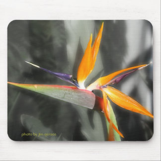 Bird of Paradise Mouse Pad