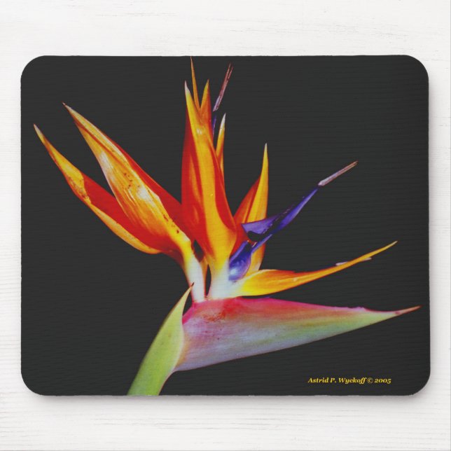 Bird of Paradise Mousepad (Front)