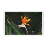 Bird of Paradise Orange Tropical Flower Acrylic Tray