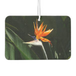 Bird of Paradise Orange Tropical Flower Air Freshener