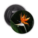 Bird of Paradise Orange Tropical Flower Bottle Opener