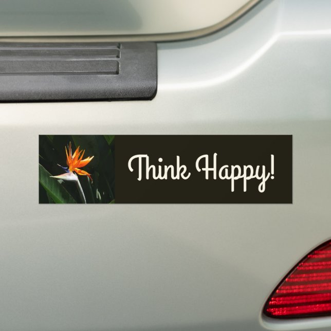 Bird of Paradise Orange Tropical Flower Bumper Sticker (On Car)