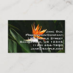 Bird of Paradise Orange Tropical Flower Business Card