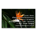 Bird of Paradise Orange Tropical Flower Business Card Magnet