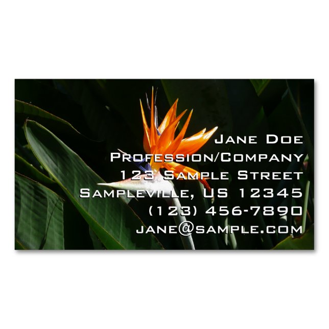 Bird of Paradise Orange Tropical Flower Business Card Magnet (Front)