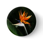 Bird of Paradise Orange Tropical Flower Button