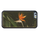 Bird of Paradise Orange Tropical Flower Carved Maple iPhone 6 Bumper Case