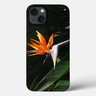 Bird of Paradise Orange Tropical Flower iPhone 13 Case