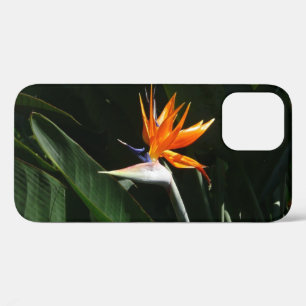 Bird of Paradise Orange Tropical Flower iPhone 12 Case