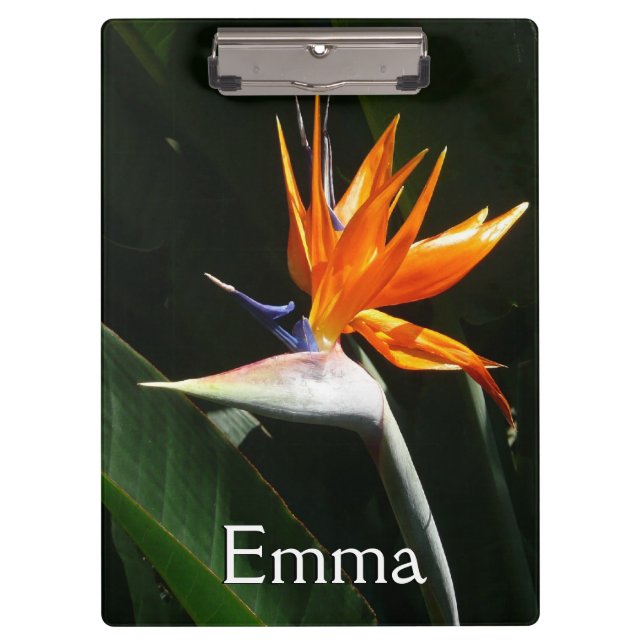 Bird of Paradise Orange Tropical Flower Clipboard (Front)