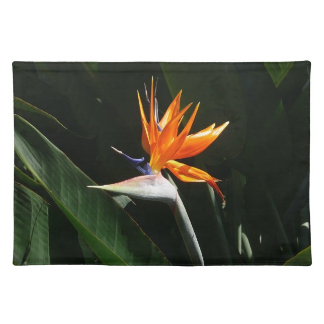 Bird of Paradise Orange Tropical Flower Cloth Placemat (Front)
