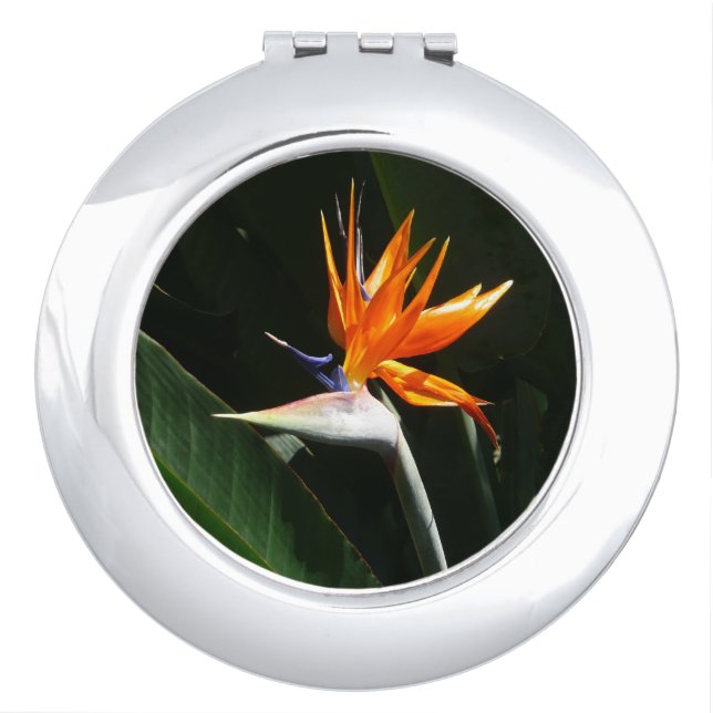 Bird of Paradise Orange Tropical Flower Compact Mirror (Front)