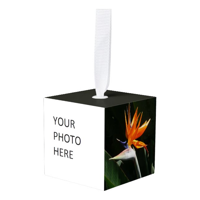 Bird of Paradise Orange Tropical Flower Cube Ornament (Front Angled)