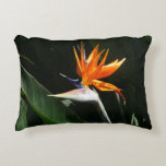 Bird of Paradise Orange Tropical Flower Decorative Pillow
