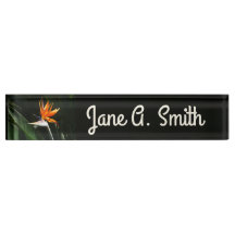 Bird of Paradise Orange Tropical Flower