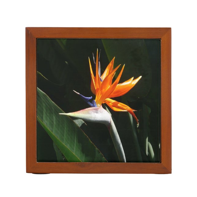 Bird of Paradise Orange Tropical Flower Desk Organizer (Front)