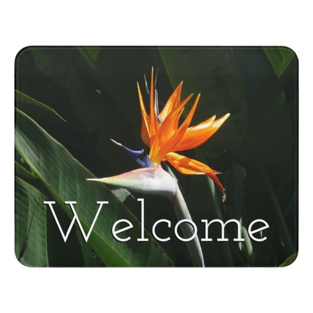 Bird of Paradise Orange Tropical Flower Door Sign (Contemporary Front)