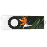 Bird of Paradise Orange Tropical Flower Flash Drive