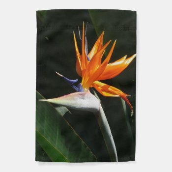 Bird Of Paradise Orange Tropical Flower Garden Flag by mlewallpapers at Zazzle