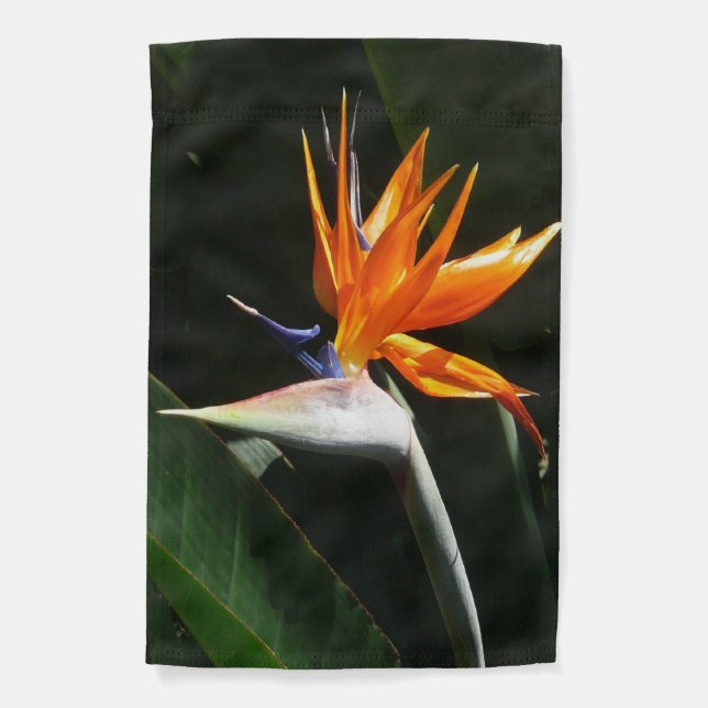 Bird of Paradise Orange Tropical Flower Garden Flag (Front)