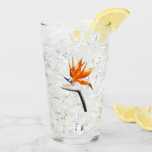 Bird of Paradise Orange Tropical Flower Glass