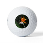 Bird of Paradise Orange Tropical Flower Golf Balls