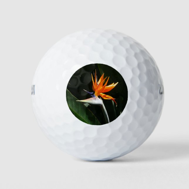 Bird of Paradise Orange Tropical Flower Golf Balls (Front)