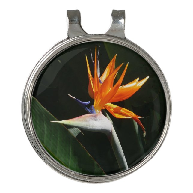 Bird of Paradise Orange Tropical Flower Golf Hat Clip (Front)