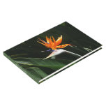 Bird of Paradise Orange Tropical Flower Guest Book