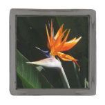 Bird of Paradise Orange Tropical Flower Gunmetal Finish Lapel Pin