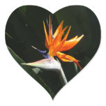 Bird of Paradise Orange Tropical Flower Heart Sticker