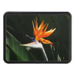 Bird of Paradise Orange Tropical Flower Hitch Cover