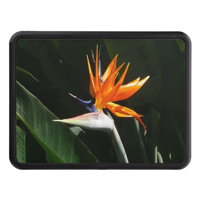 Bird of Paradise Orange Tropical Flower Hitch Cover (Front)