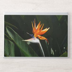 Bird of Paradise Orange Tropical Flower HP Laptop Skin