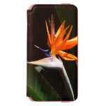 Bird of Paradise Orange Tropical Flower iPhone 6/6s Wallet Case