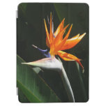 Bird of Paradise Orange Tropical Flower iPad Air Cover