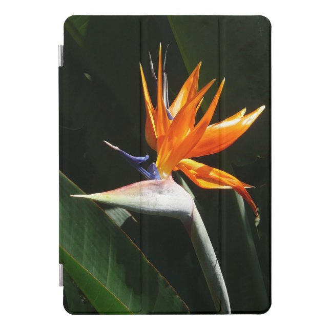 Bird of Paradise Orange Tropical Flower iPad Pro Cover (Front)